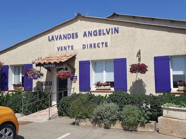 Visite guidée de l'exploitation Distillerie Lavandes Angelvin