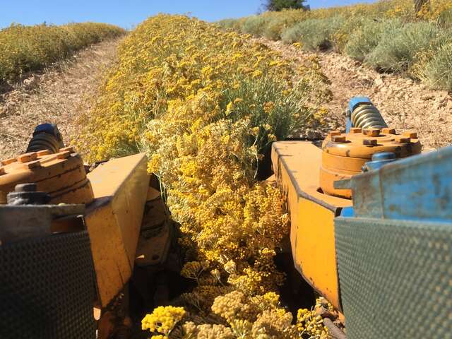 Vauvenières Organic Farm
