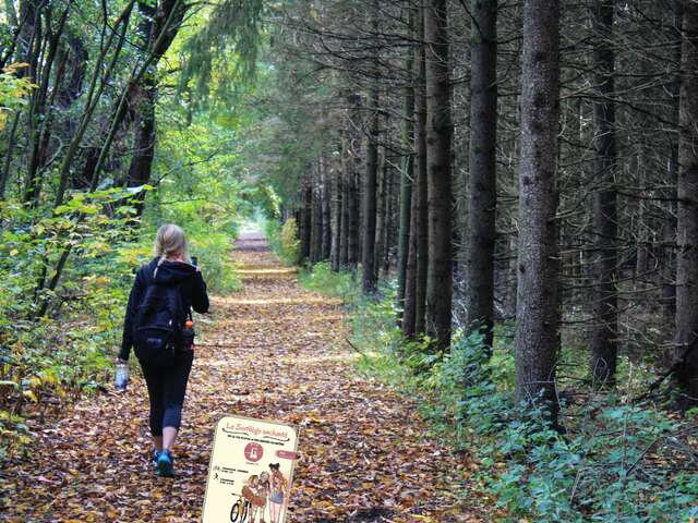 Fun on foot N°6: The spell of the Via Fluvia and the banks of the Rhône