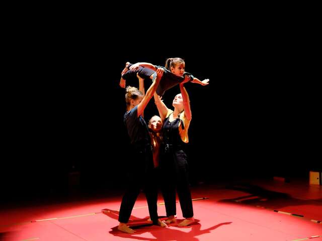 Le labyrinthe de l'oie