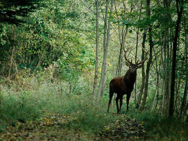 Balade nature et légendes