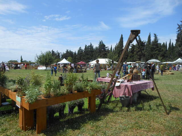 Nature en fête