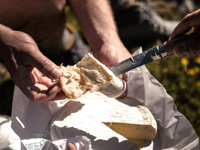 Picknickplatz "Châtelet"
