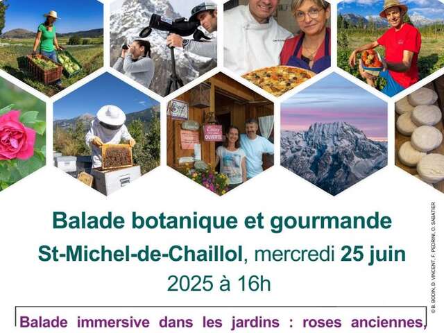Balade botanique et gourmande