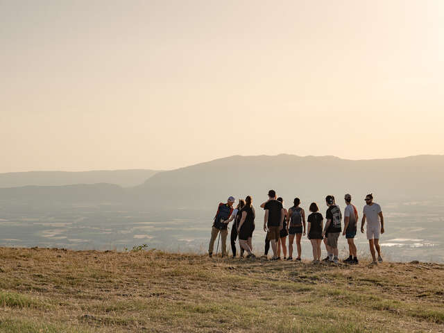Viewpoint: L'Observatoire