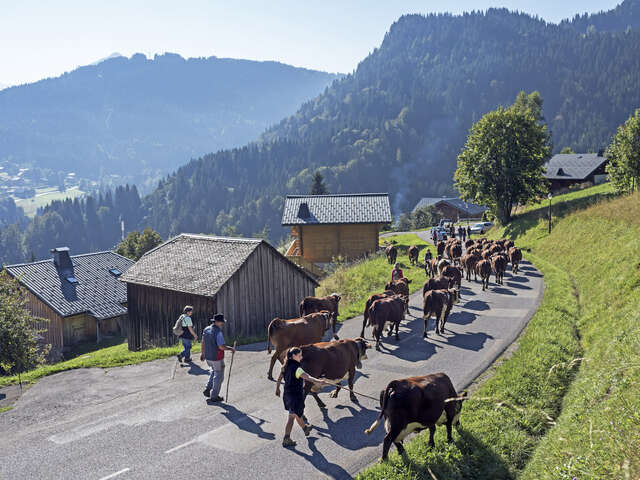 The Chablais Geopark Weeks - 2026 edition