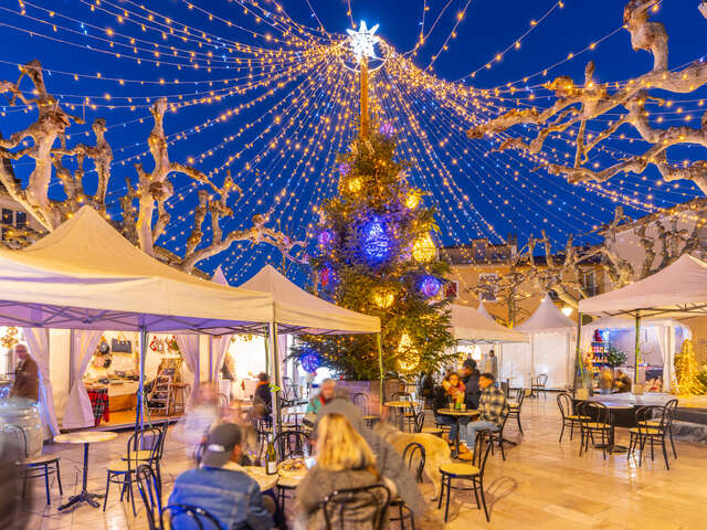 Guided Tour "Christmas in Provence"