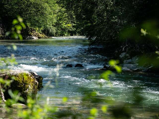 La tête à l'envers - Découverte du Massif des Bauges en visitant le milieu souterrain et sa rivière : le Chéran