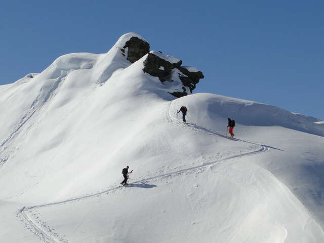 Tarentaise Tours - Bureau des guides