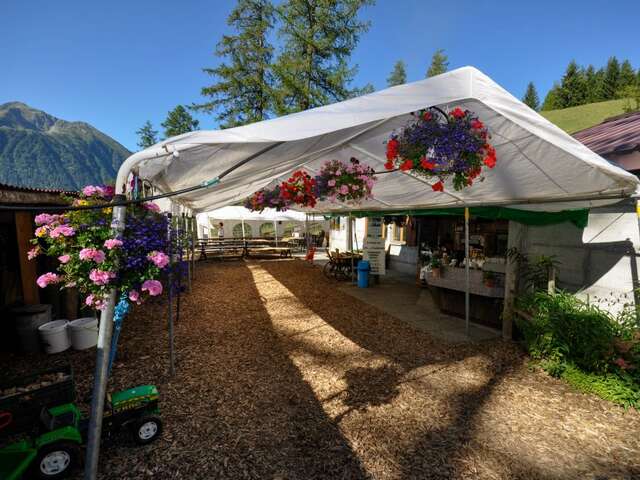Buvette d'Alpage du Col des Planches