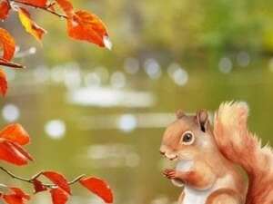 Les mercredis des Marm'eau : Eau - secours, les noisettes ont disparu parent(s) / enfant(s)