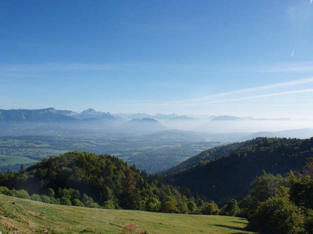 Ruta: à la découverte du Plateau des Bornes