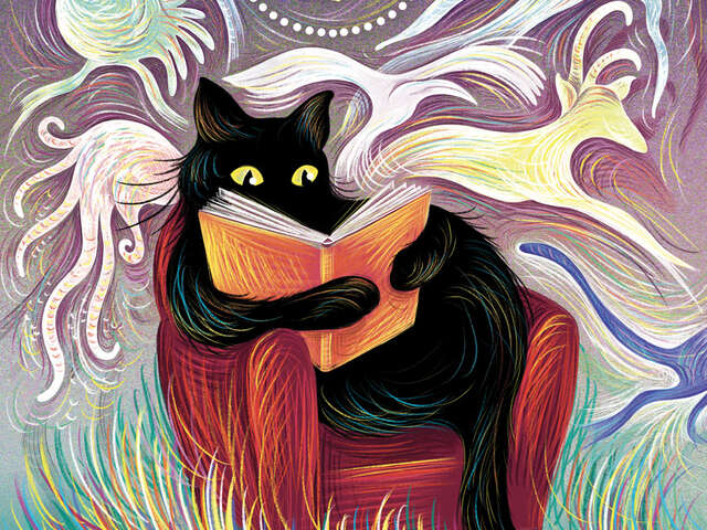 Grains de sel - Festival du livre et de la parole d'enfant