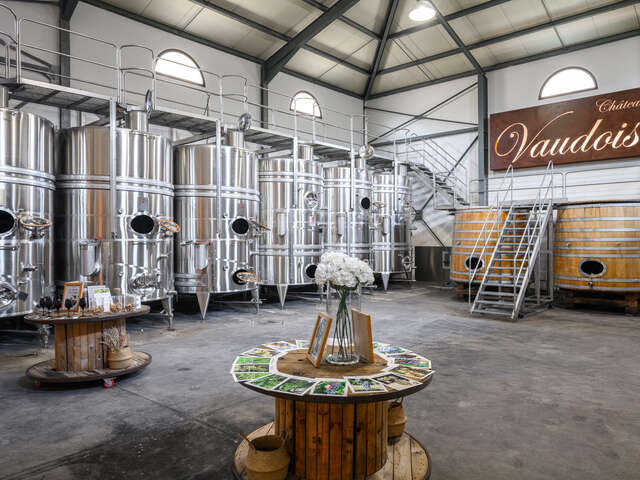 Atelier œnologique au Château Vaudois