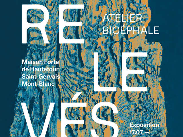 Exposition "Relevés" de l'Atelier Bicéphale, restitution de la résidence de création