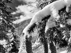 Nature discovery walk and creation of a special skier roll-on