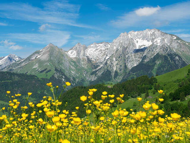 Aller cyclo : Col de Plan Bois