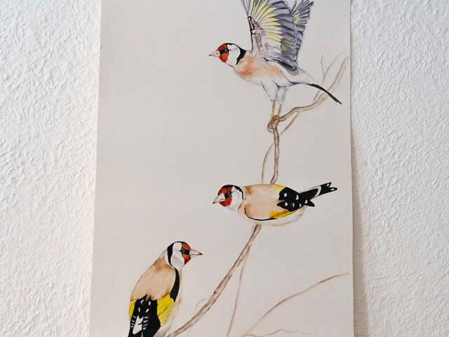 Atelier de création d'estampe - Atelier d'Ambo