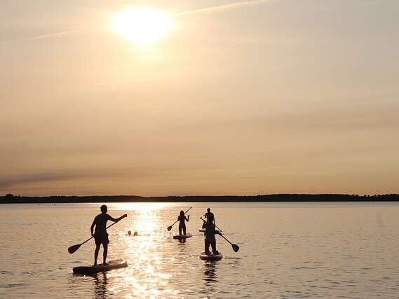 Paddle rental - Transparent sea