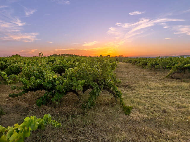 Domaine des Arnasseaux