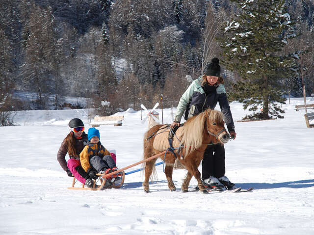 Poney-luge - Les Ecuries des Ecrins