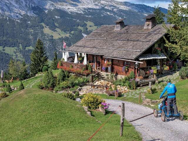 Location Cimgo, fauteuil tout terrain de descente