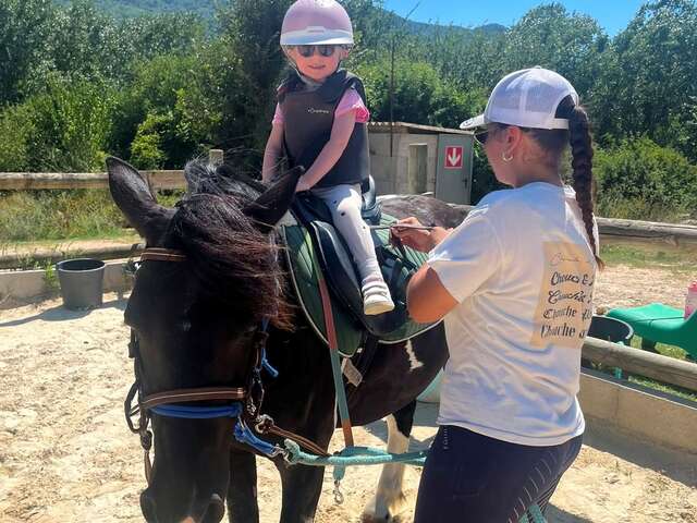 Workshop: Ground Work & River Swimming with Your Pony