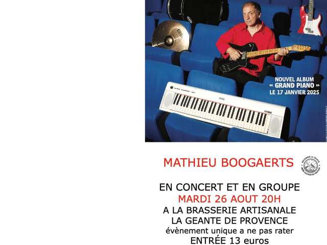 Mathieu Boogaerts en groupe' concert