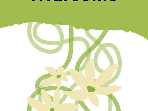 Festival de Marseille