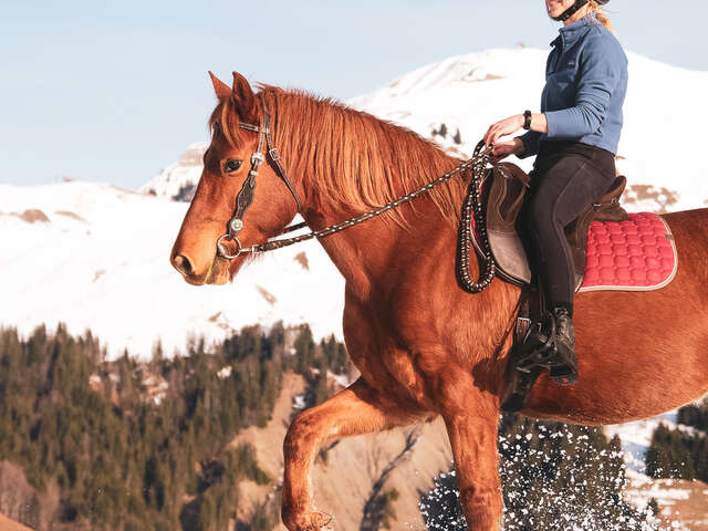 Balade à poney
