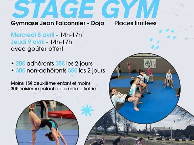 Stage de gymnastique