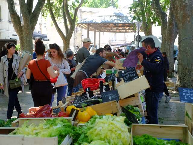 Avignon centre-city market