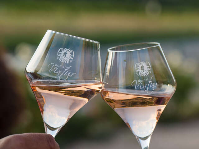 Tour de cave & grignotage - Domaine Vintur