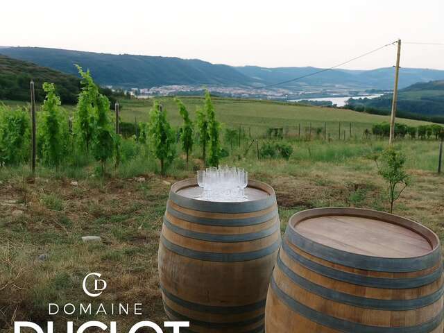 Apéro sunset dans les vignes (Domaine Duclot)