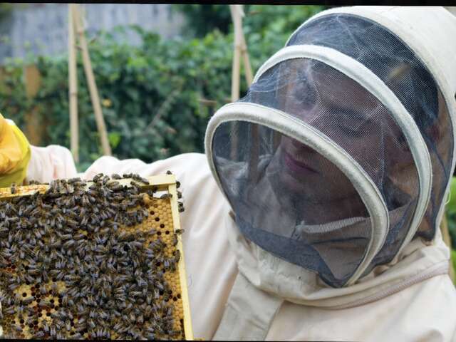 Les ruchers de la Loire*