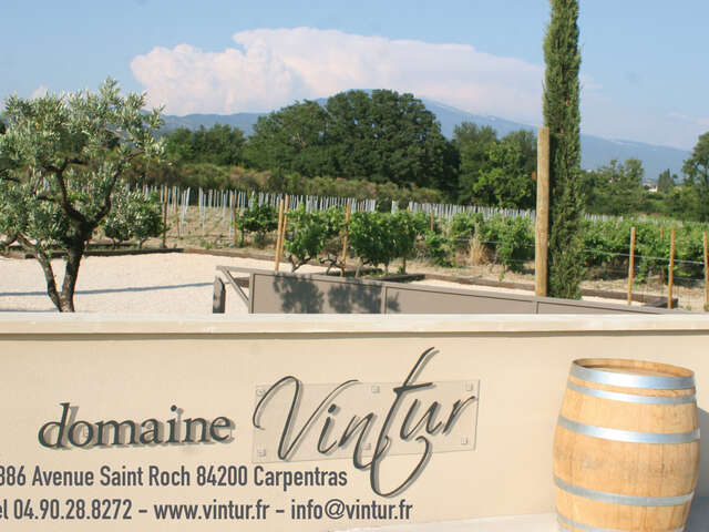 Visite guidée du vignoble et de la cave du Domaine Vintur