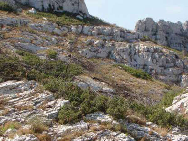 Topo rando Le Vallon de Jaume par les grottes