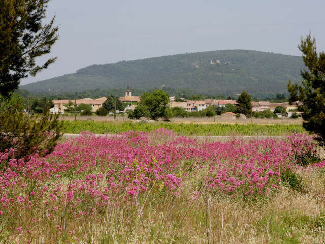 Au cœur du défens