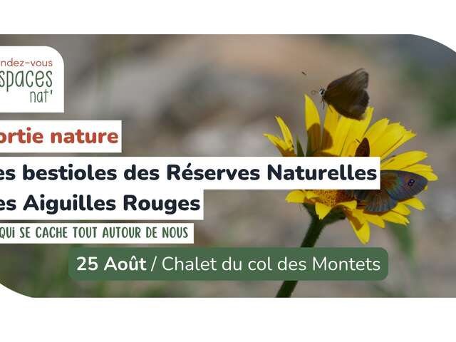 Ausflug in die Natur – Die Tierwelt der Naturschutzgebiete der Aiguilles Rouges