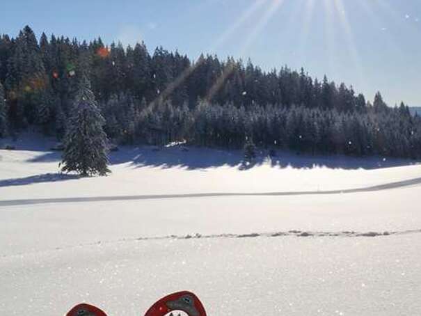 Escursione con le racchette da neve - Scuola de sci è de snowboard Internationale St Christophe