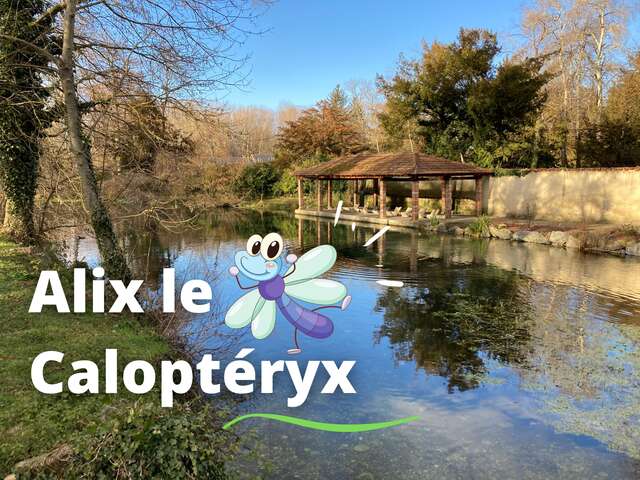 Interactive treasure hunt "Alix the Calopteryx