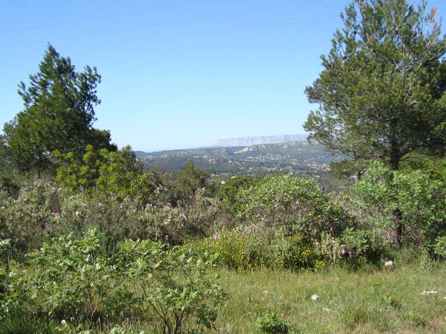 Le Mont du Marseillais - Journée