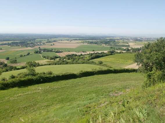 La butte de Montgacon - Les balades de Léa et Tino