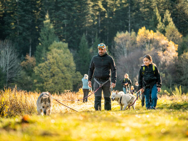 Hiver 2025/2026 - Bougez dans le Pilat - Cani-randonnée (à partir de 8 ans) - Saint-Régis-du-Coin