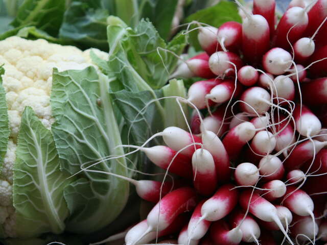 Marché de producteurs locaux