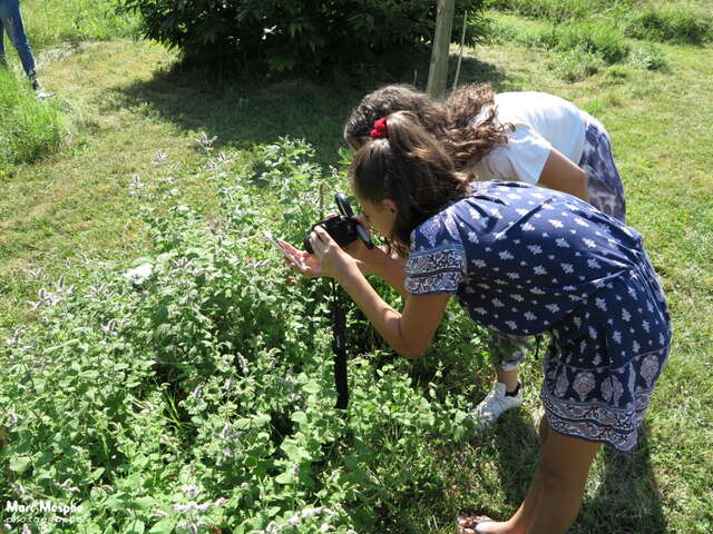 Initiation à la photo macro au Jardin Extraordinaire