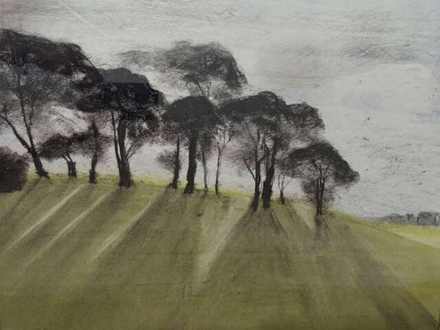 Trees in the landscape' exhibition at Ferme des Arts