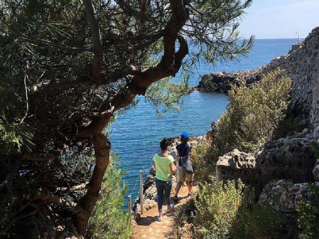 S'émerveiller devant les beautés naturelles du Cap d'Antibes!