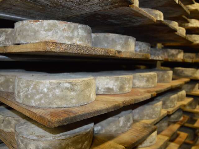 Coopérative Fruitière Cœur des bauges – Coopérative Laitière de Lescheraines