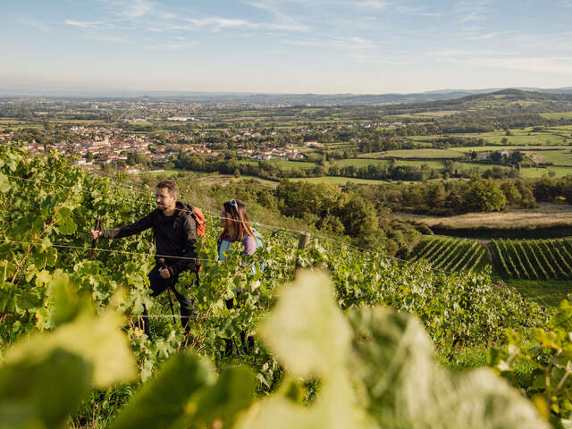 GR® de Pays Côtes du Forez Nord